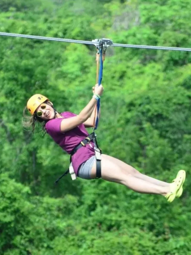 zipline-1